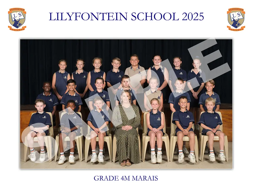 Class 4M