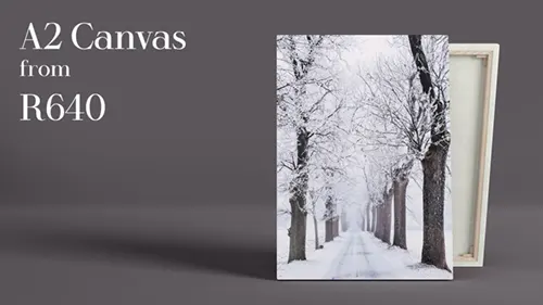 Canvas-A2 A2 Canvas (60cm x 40cm)